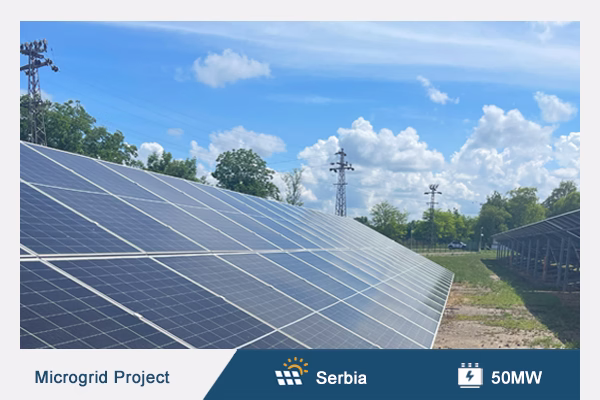 30(Analysis Service)