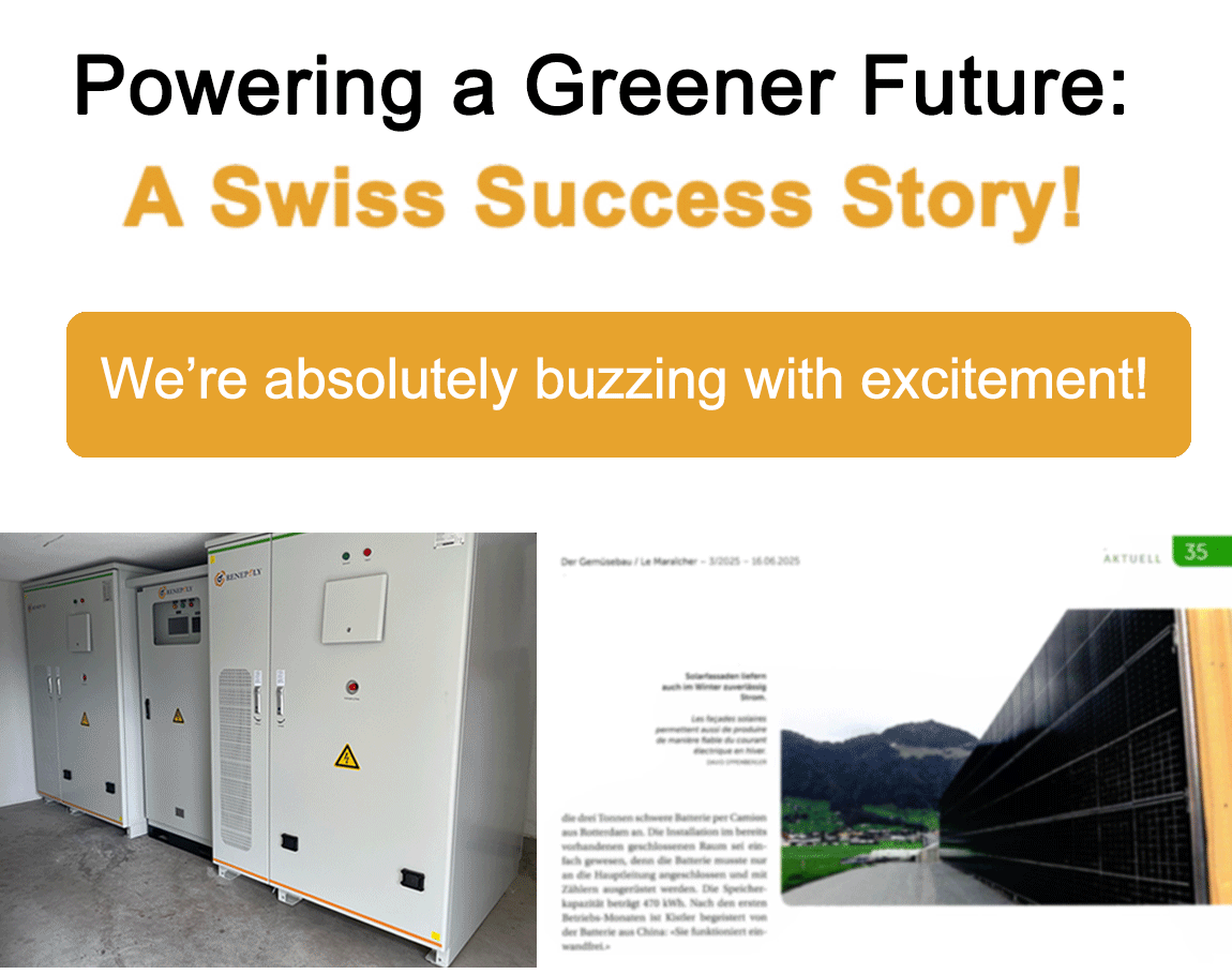 Swiss Project